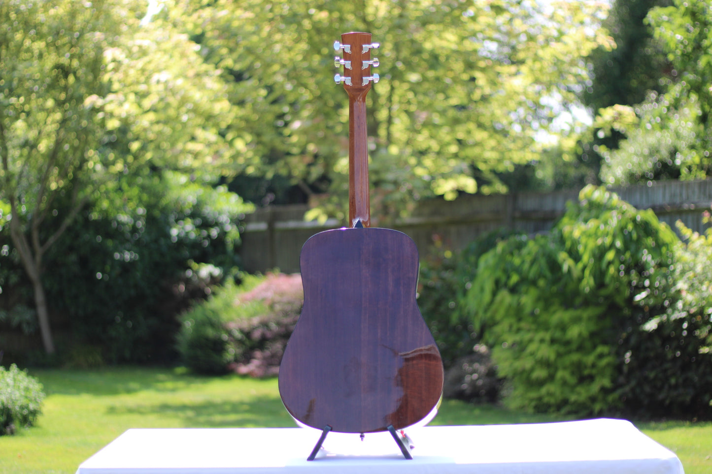 Ibanez PF60NT1202 Acoustic Guitar