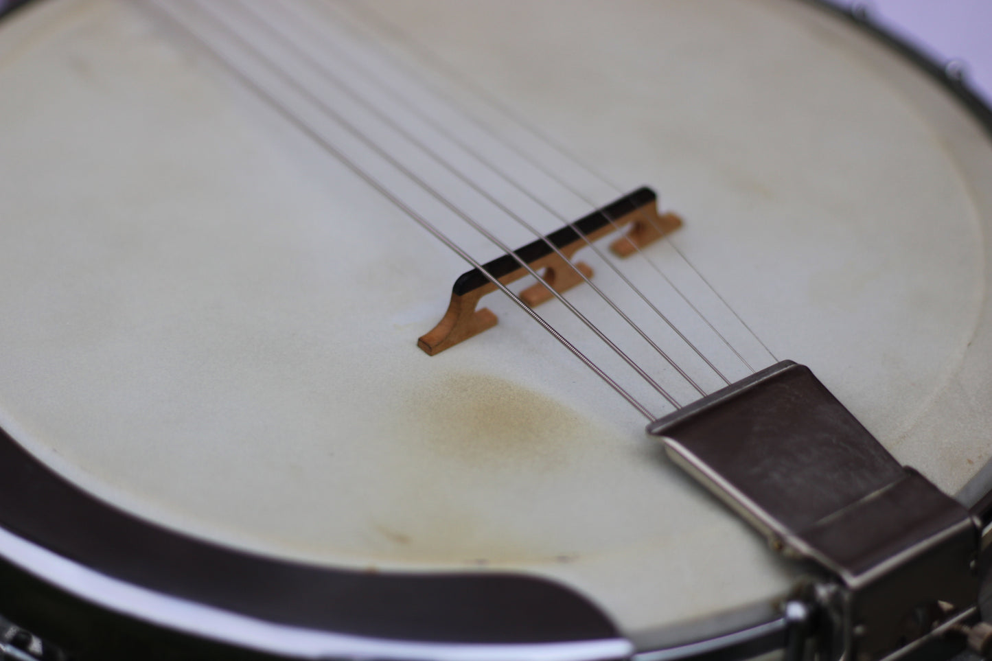 Emperador 6 String Electro-Acoustic Vintage Banjo