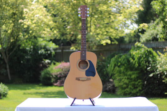 Ibanez PF60NT1202 Acoustic Guitar