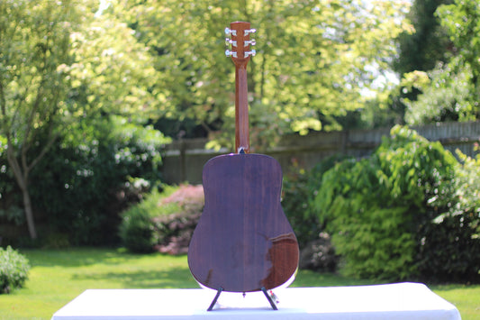 Ibanez PF60NT1202 Acoustic Guitar