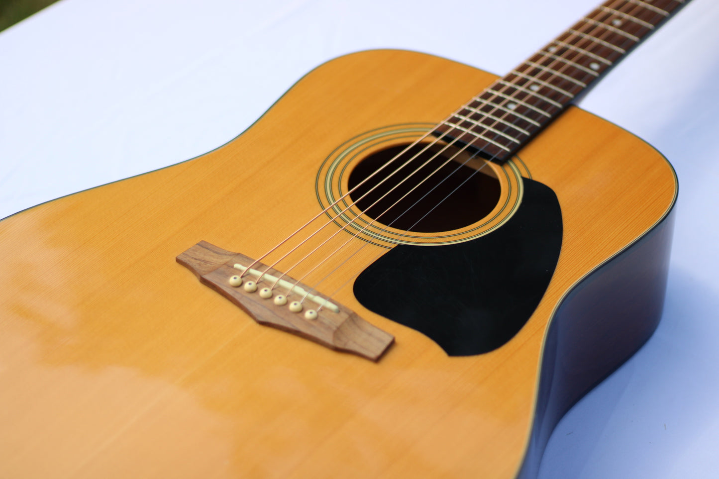 Ibanez PF60NT1202 Acoustic Guitar