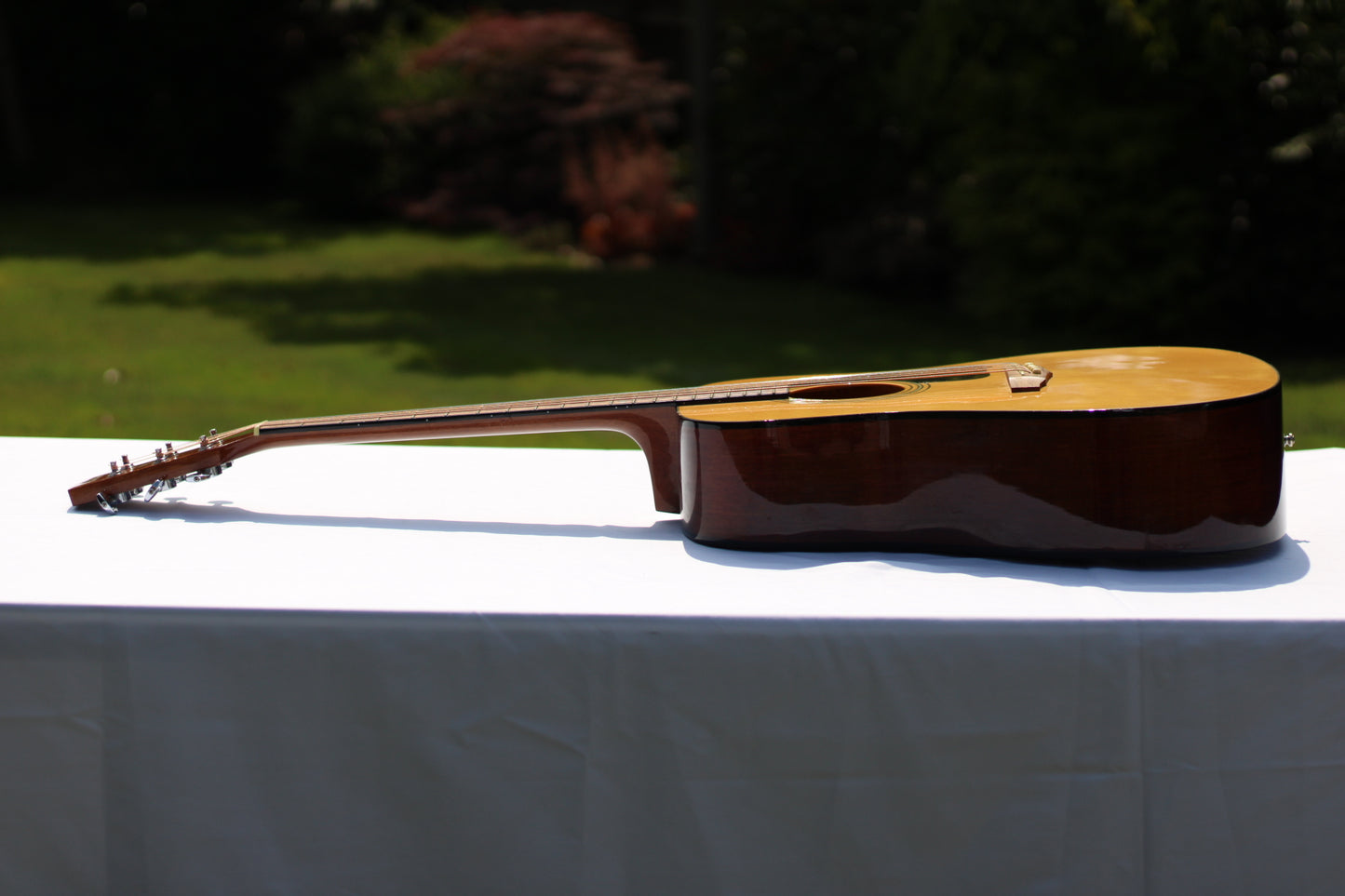 Ibanez PF60NT1202 Acoustic Guitar