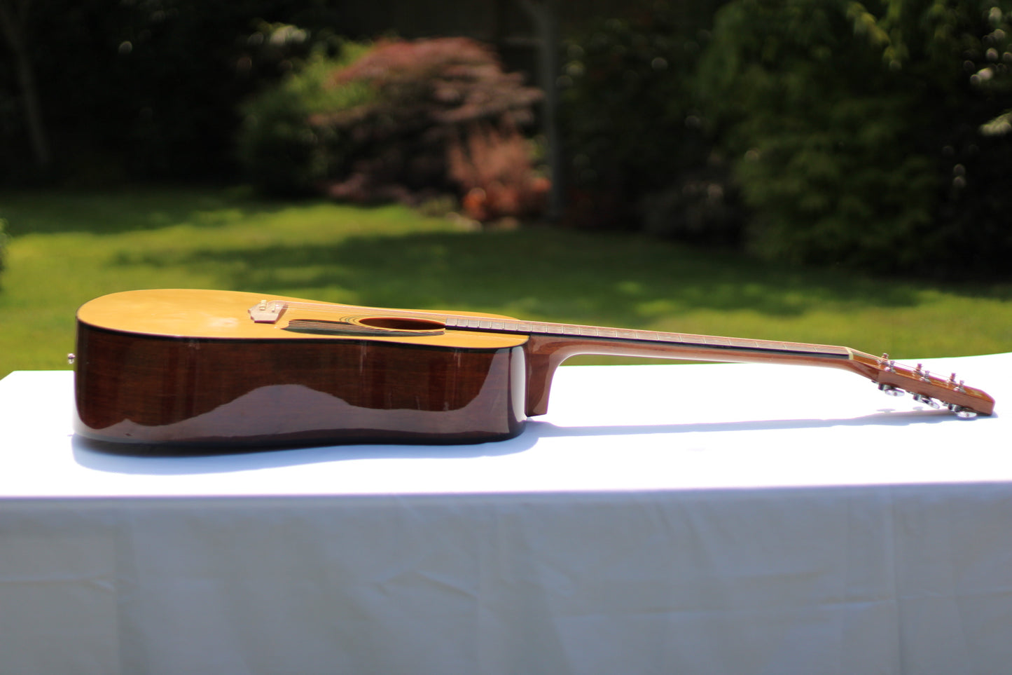 Ibanez PF60NT1202 Acoustic Guitar