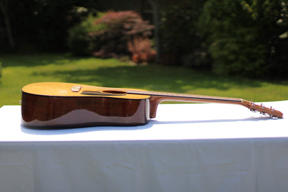 Ibanez PF60NT1202 Acoustic Guitar