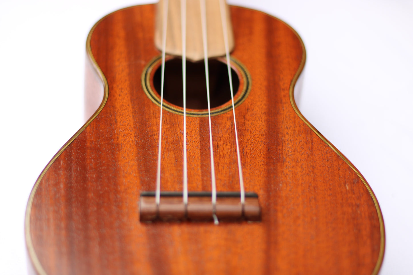 Wunderkammer Hand Crafted Acoustic Concert Ukulele