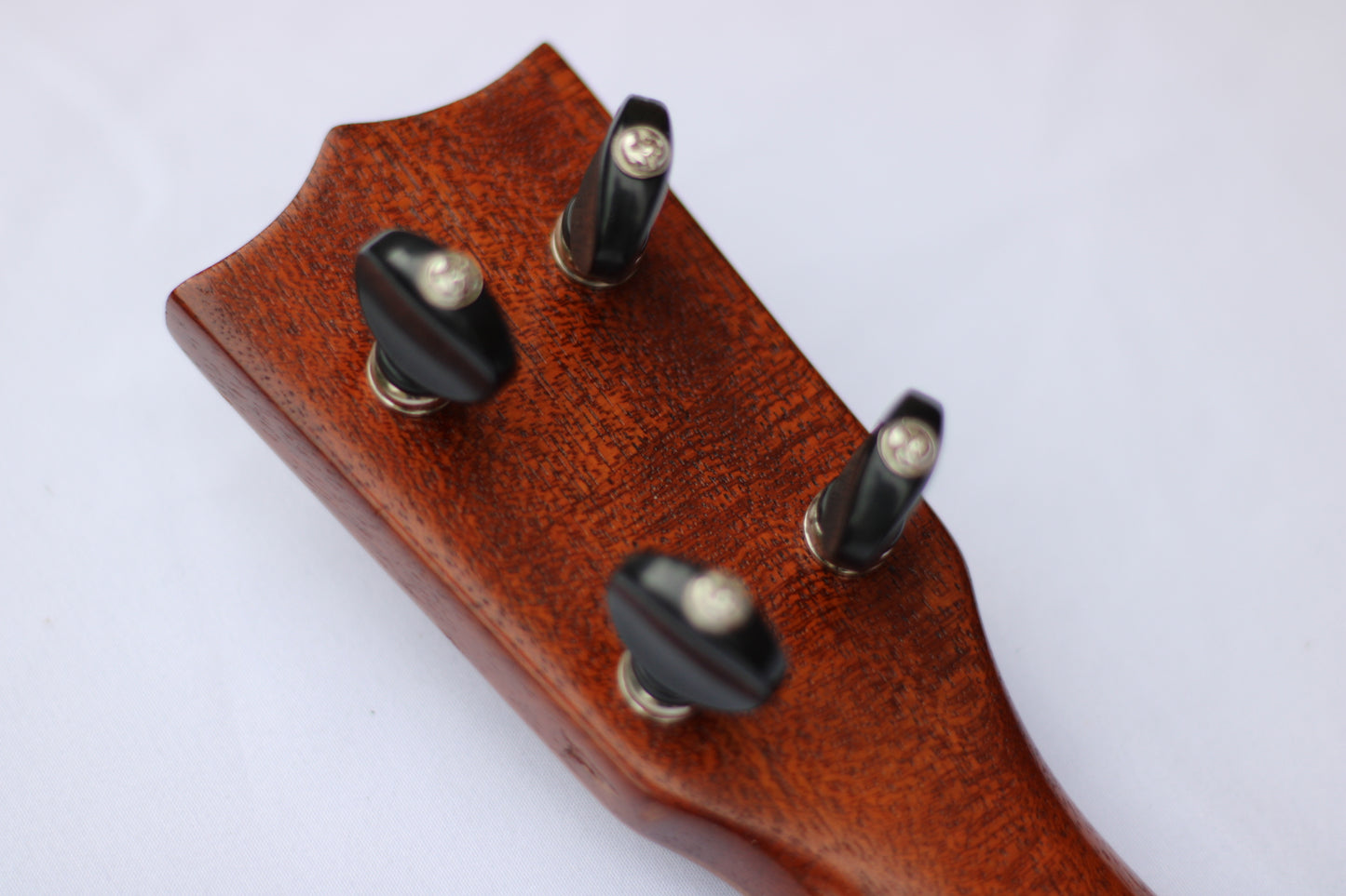 Wunderkammer Hand Crafted Acoustic Concert Ukulele