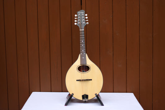 Eastman PCH-M104 A-Style Mandolin
