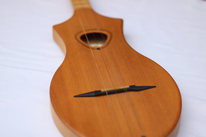Seagull M4 Merlin Natural Spruce SG